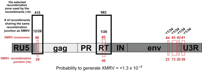 Fig 7