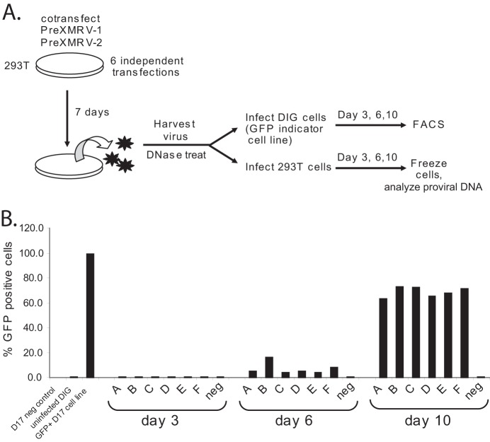 Fig 3