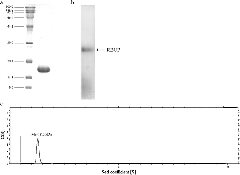 Fig. 2