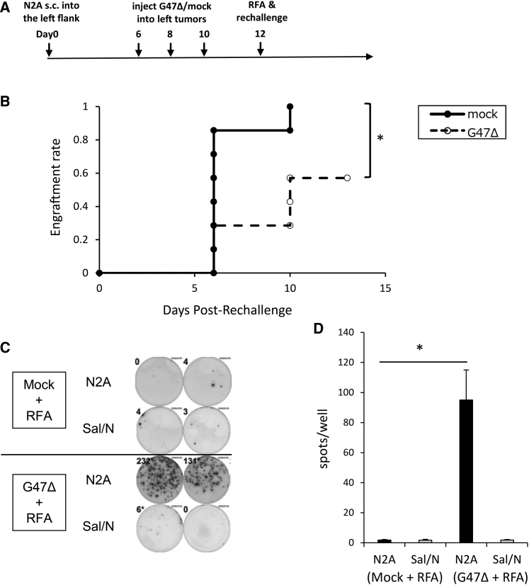 Figure 5