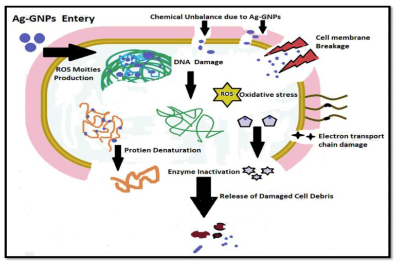 Figure 10