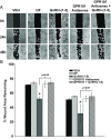 Figure 10.