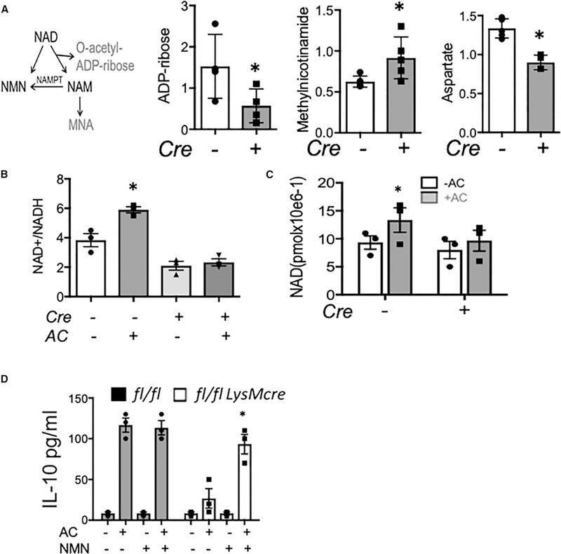 Figure 5.