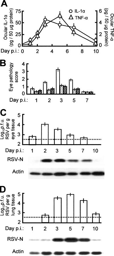 FIG. 4.