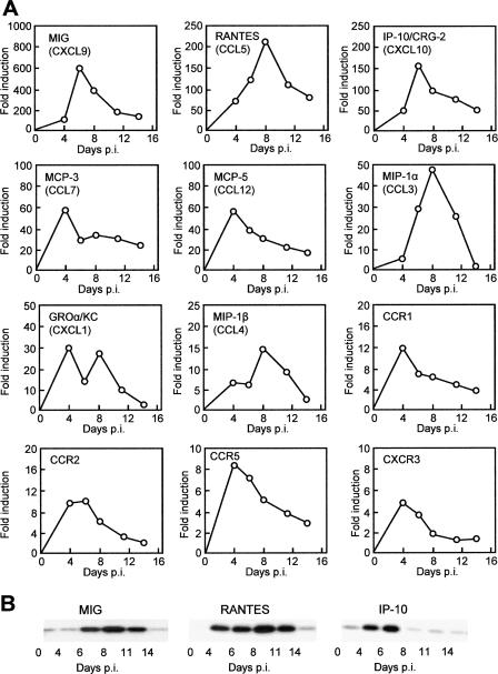 FIG. 3.