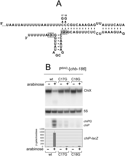 Figure 7.