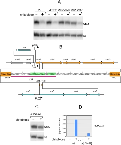 Figure 5.