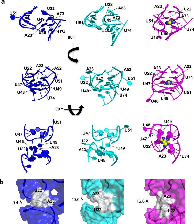 Extended Data Figure 3