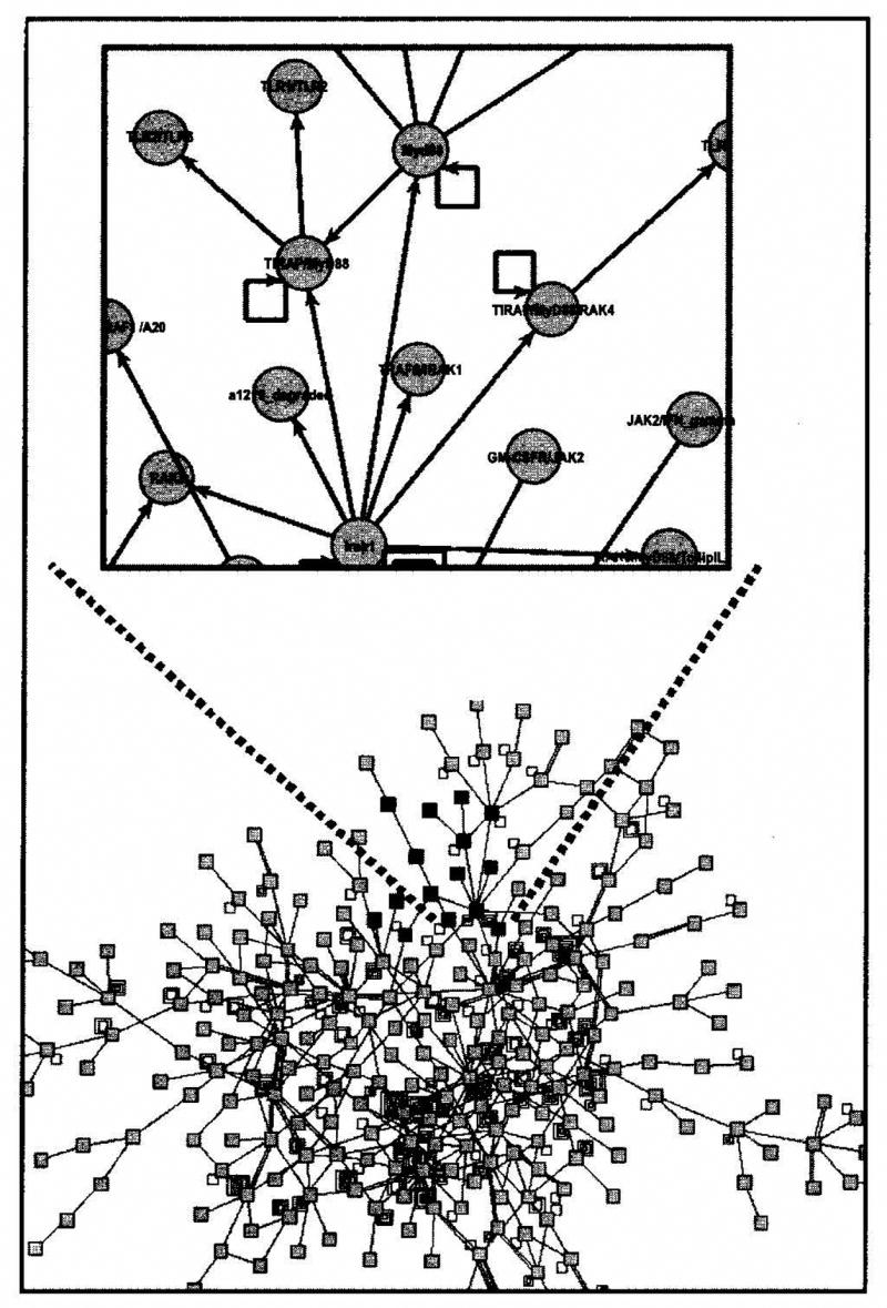 Fig. (1)