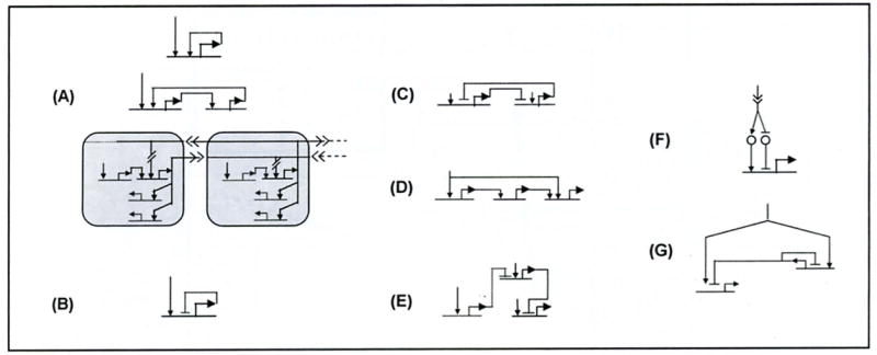 Fig. (4)