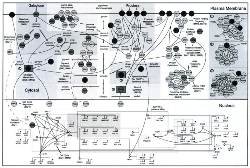 Fig. (3)