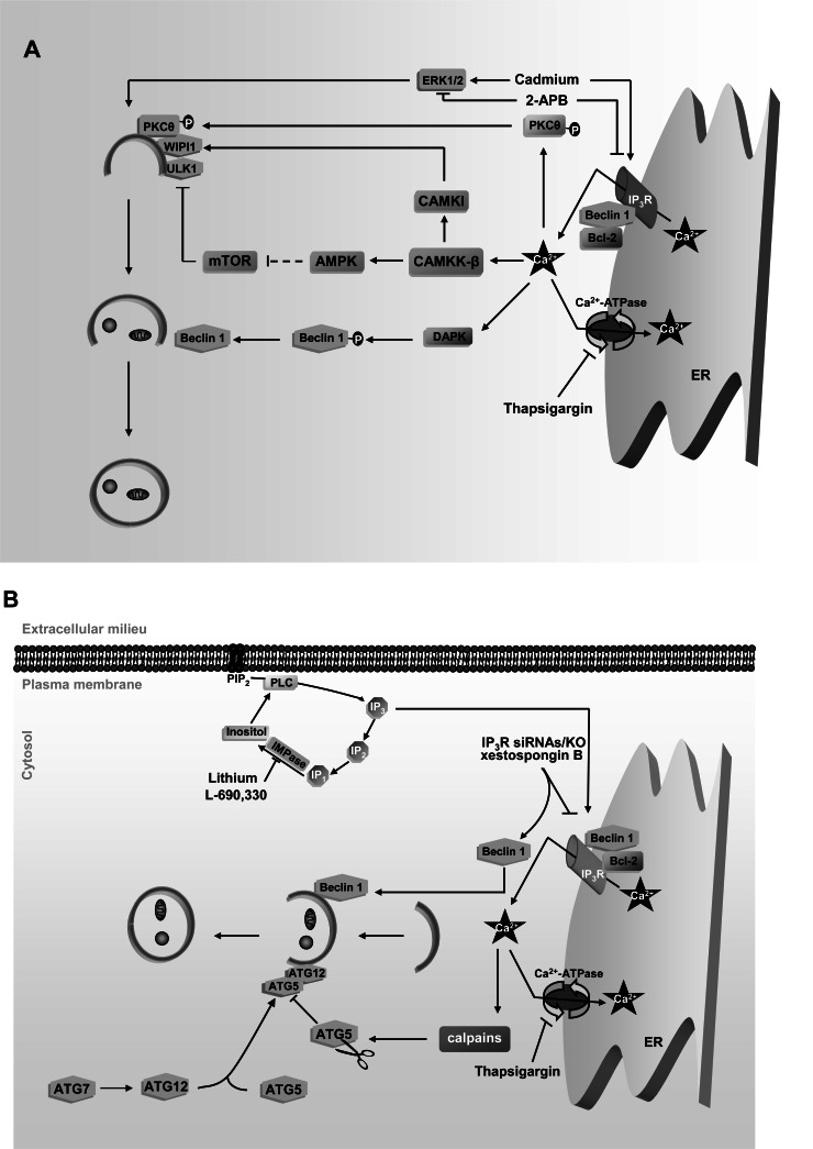 Fig. (3)