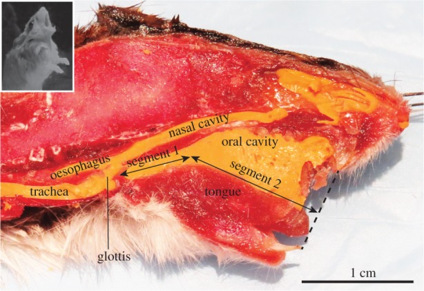 Figure 5.