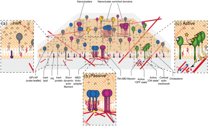 FIGURE 3