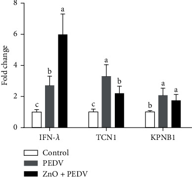 Figure 10