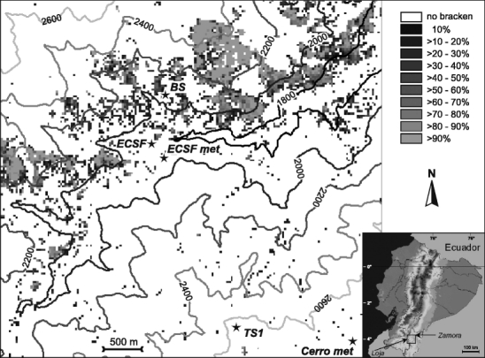 Fig. 1