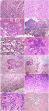 Figure 4: