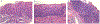 Figure 7: