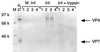 FIG. 6