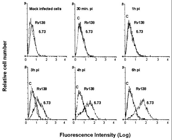FIG. 4