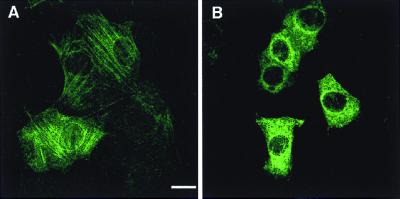 FIG. 8
