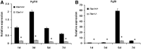 <b>FIG. 7.</b>