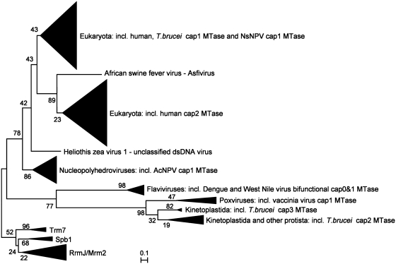 Figure 6.