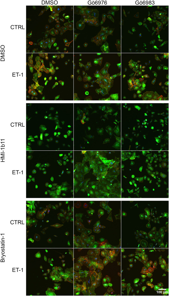 FIGURE 6