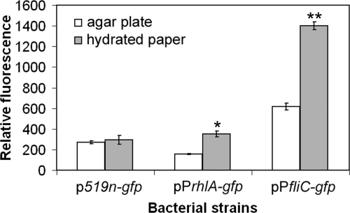 Fig 5