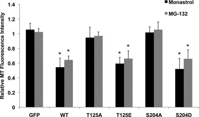 FIGURE 6: