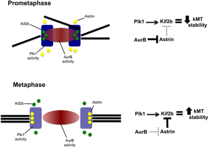 FIGURE 7: