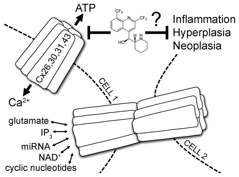 FIGURE 1