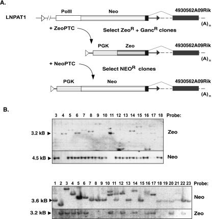 Figure 4.