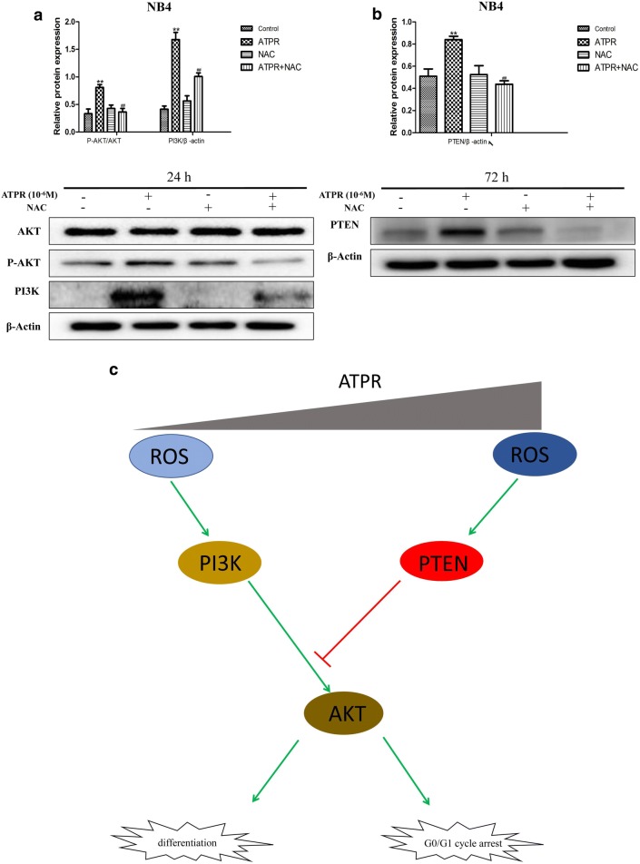 Fig. 7