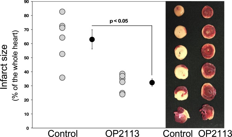 Fig 6