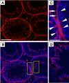 Fig. 5.