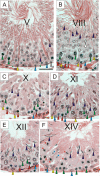 Fig. 2.