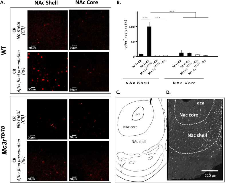 Figure 3