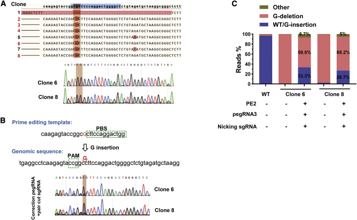 Figure 4