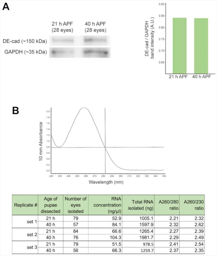 Figure 4: