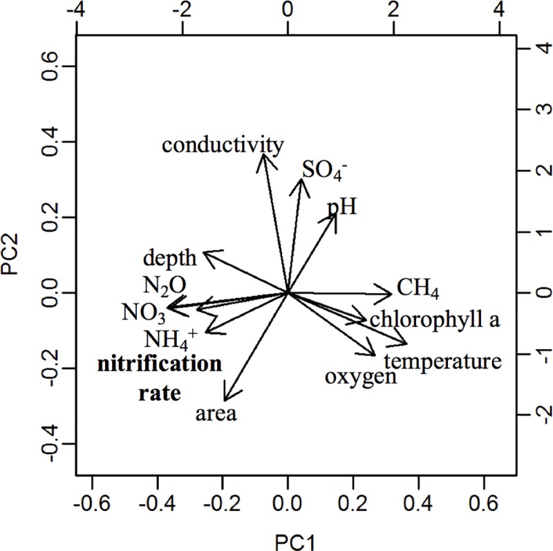 Fig 5