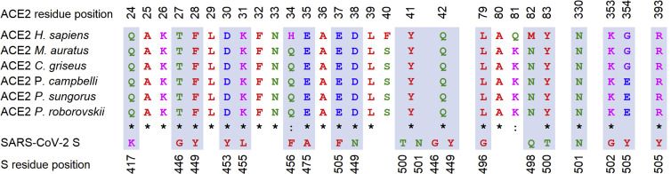 Figure 5