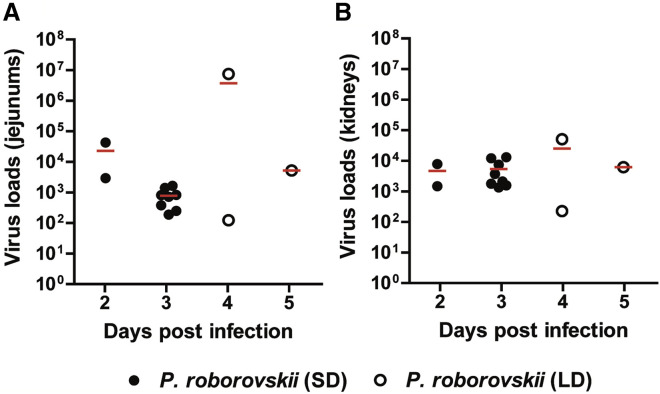 Figure 3