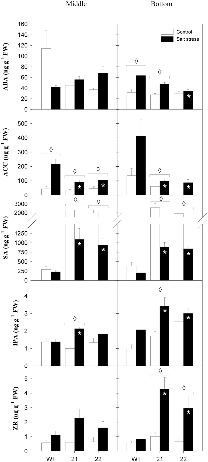 Fig. 10.