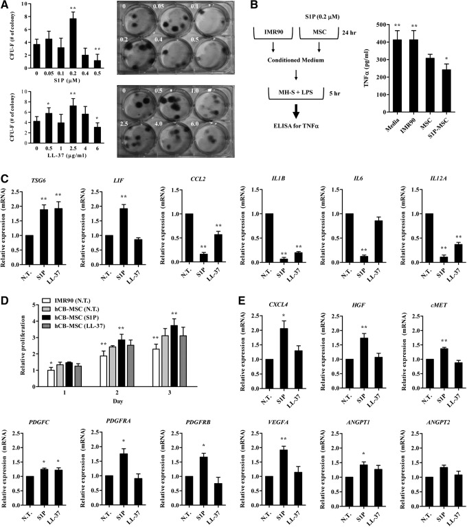 FIG. 4.