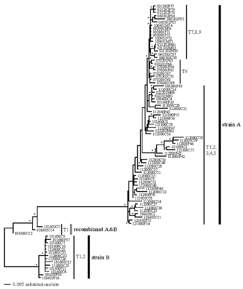 FIG. 1