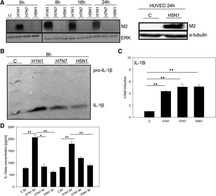 Figure 6.