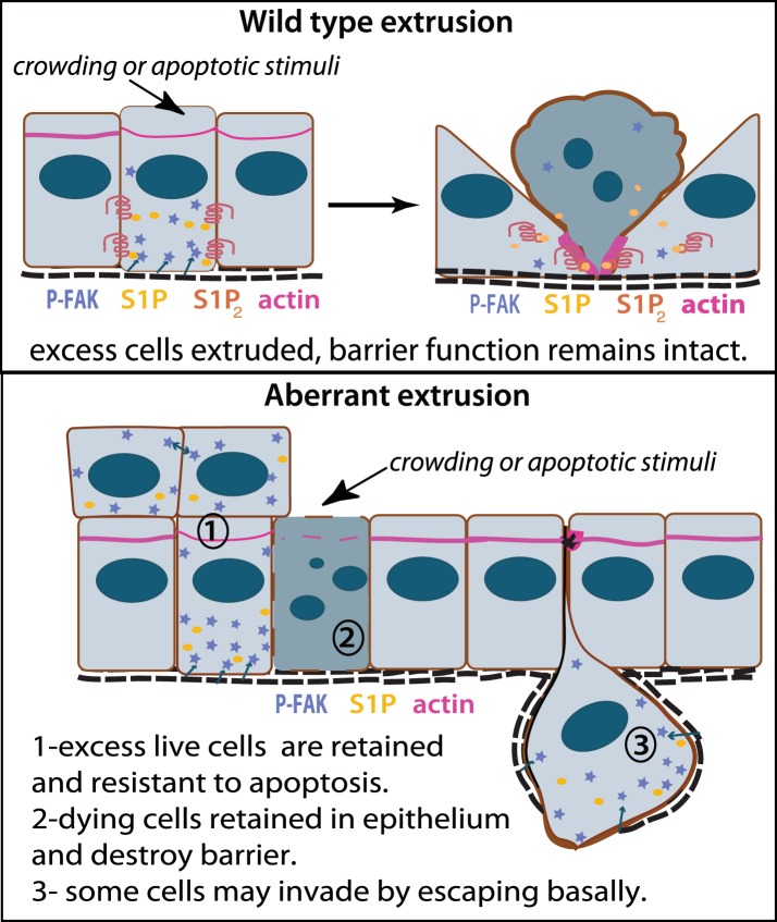 Figure 10.