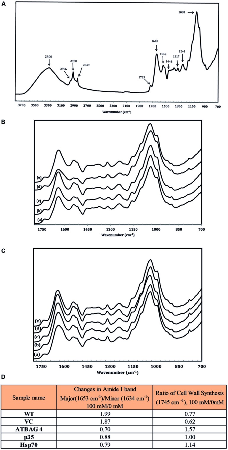 FIGURE 3