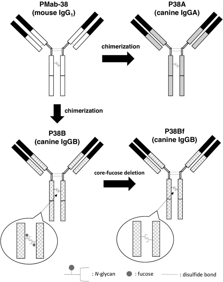 FIG. 1.